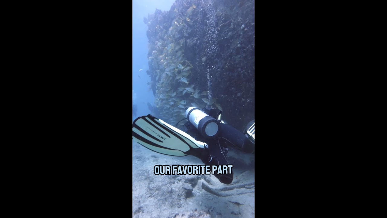 This is why the Benwood Wreck Is A Top Dive Spot 