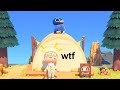 Best ANIMAL CROSSING New Horizons Clips #113