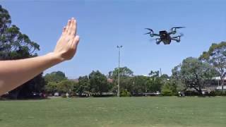 DJI Spark Quick Look