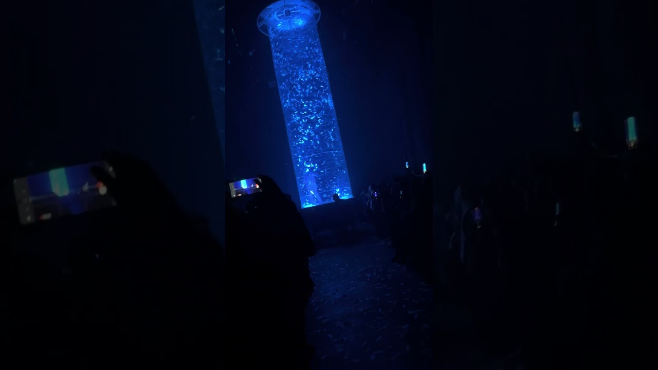 Buenos Aires - Fuerza Bruta | 