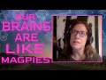 Our Brains Are Like Magpies