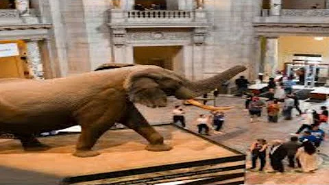 WH Pushes Smithsonian to Comply With Wokeness Review | 24HoursUSA