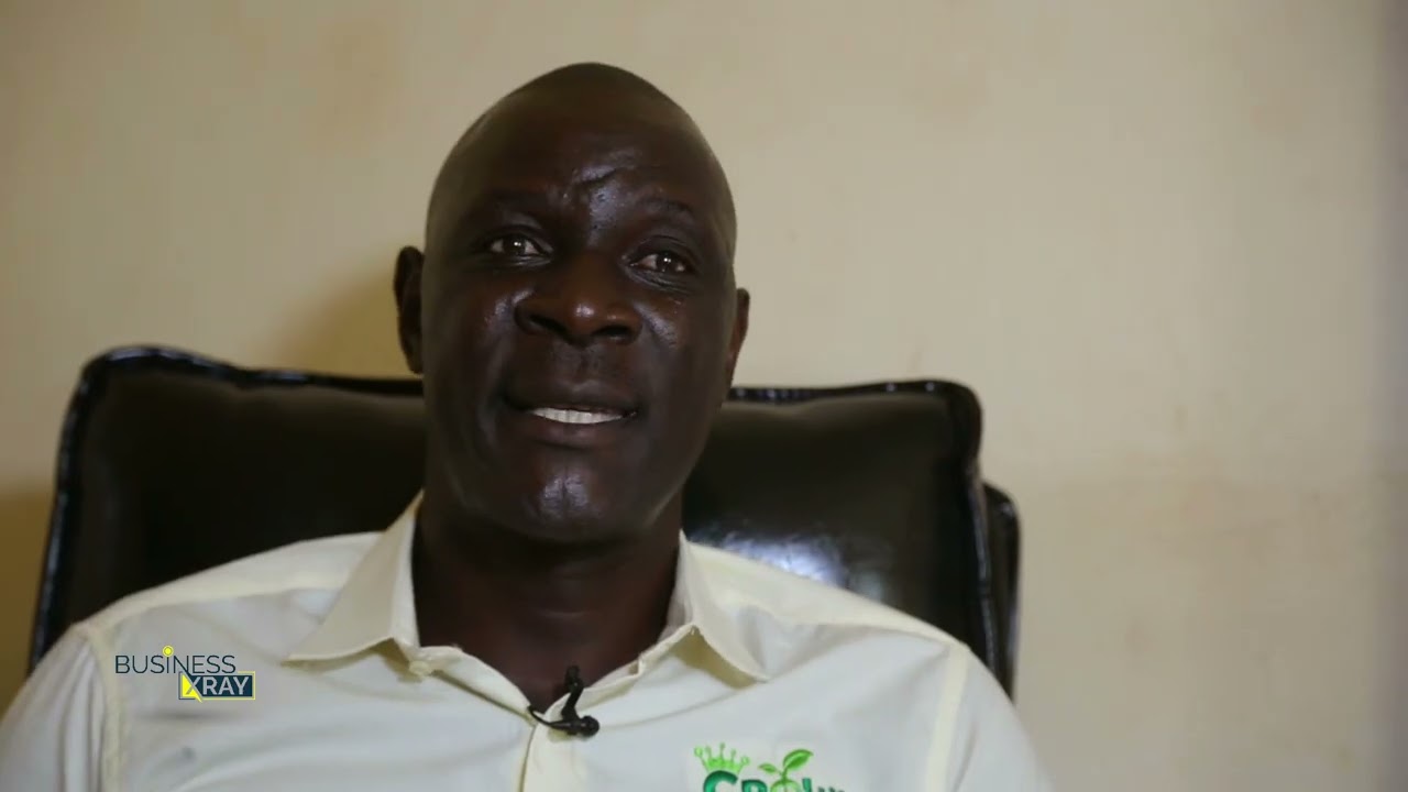 Создание и управление семенной компанией