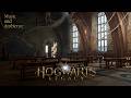 Classroom Atmosphere - Hogwarts Legacy | Music & Ambience