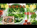 「健康長寿の秘密！スーパーフードを超えた食習慣マスター講座」雑学TV365