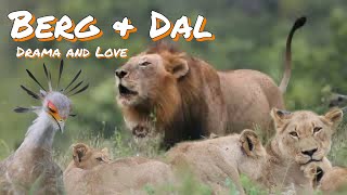 Drama & Love - Kruger National Park | Episode 1 of 5 | Only Wildlife & Nature |Kruger in Autumn