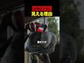彼だけが本物のクモに見える理由【スパイダーマン考察】
