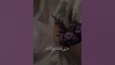 القرآن الكريم ..راحه نفسيه راحه تريح القلب اللهم اجعل القرآن ربيع قلوبنا............