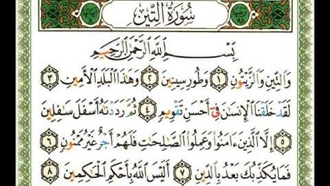 095   سورة التين  ناصر القطامي flv