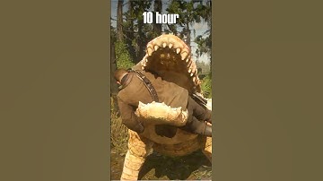 Bull Gator Hunt 10 hours vs 1000+ hours Gameplay RDR2