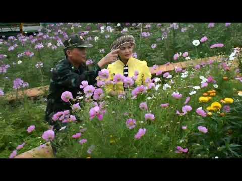 Video Thơ Tình người lính biên phòng : - youtube