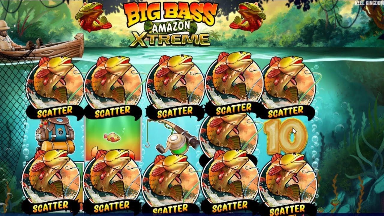 BIG BASS AMAZON XTREME EPIC GAMEPLAY 5 SCATTERS NSANE FREE SPINS GOOG ...
