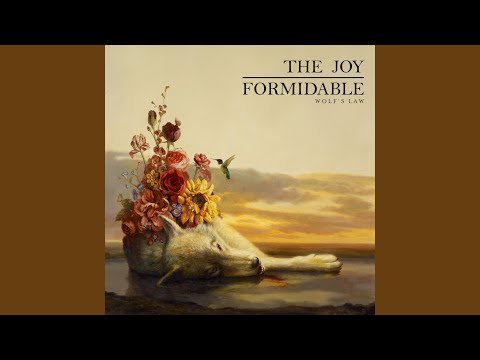 This Ladder Is Ours - The Joy Formidable