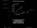 Why Study Coordinate Geometry? | Real-Life Math Example #manim #maths #math  #mathanimation