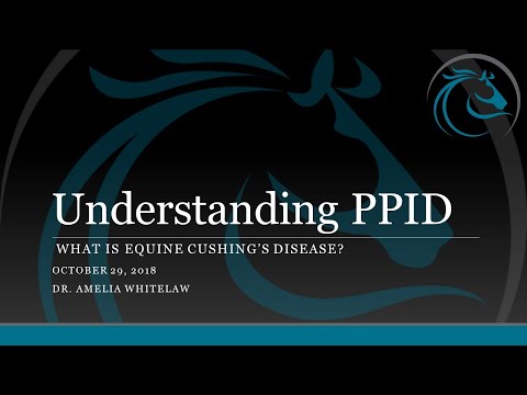 Video: Cushing's Disease In Horse - Perd PPID