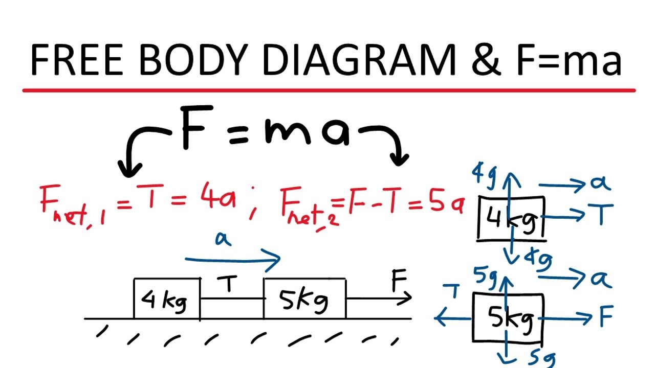 Free Body Diagrams And Newton s Second Law Of Motion Physics YouTube free-body-diagrams-and-newton-s-second-law-of-motion-physics-youtube