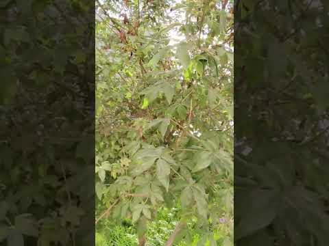 اللهم حصن قلوبنا من هموم الدنيا