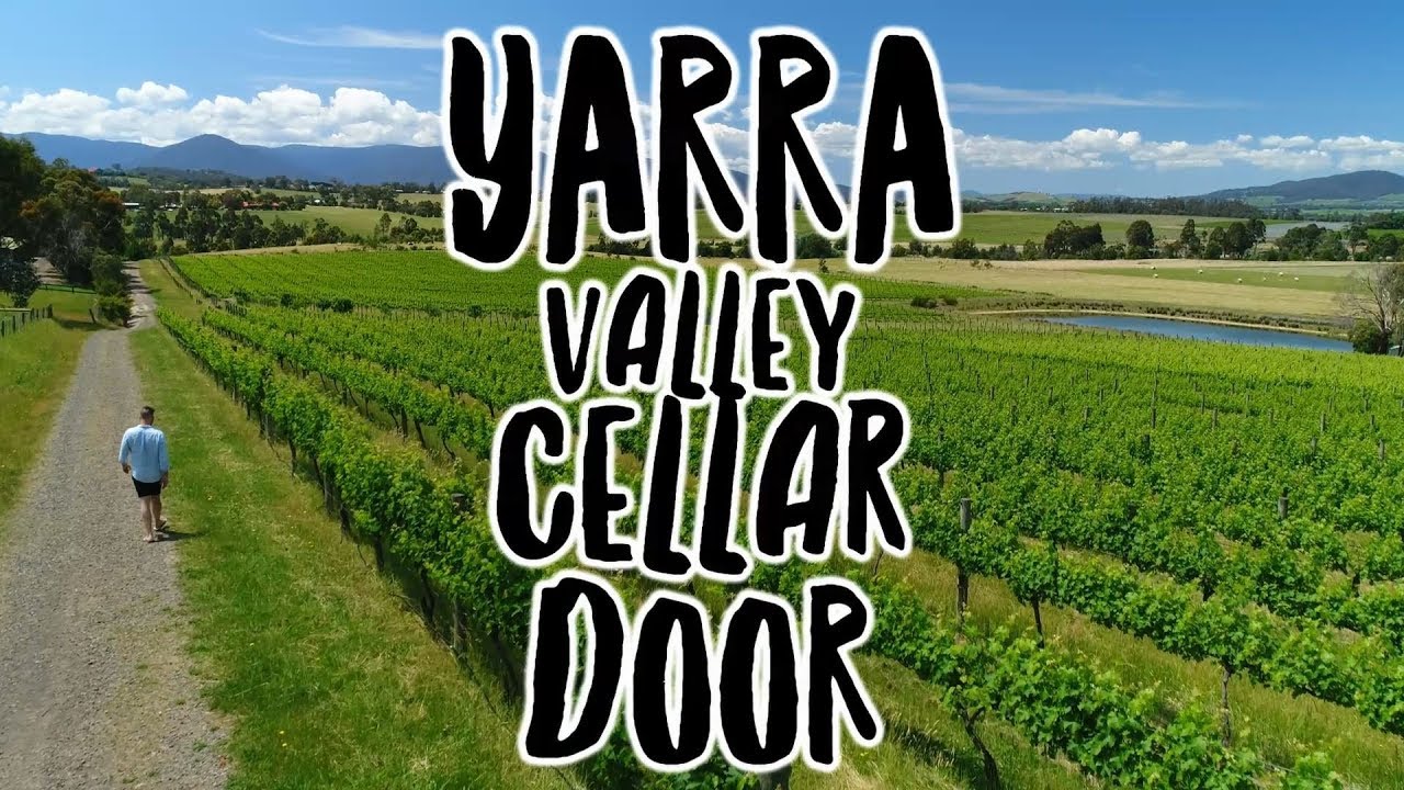Yarra Valley Cellar Door - YouTube