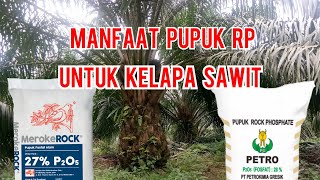 BENEFITS OF RP FERTILIZER FOR OIL PALM PLANTS BENEFITS OF RP FERTILIZER FOR OIL PALM PLANTS