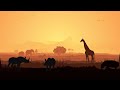 Savane  paradis implacable 4kr  documentaire animalier