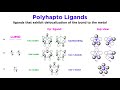 Ligand Interaction and Properties