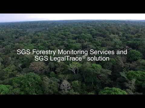 SGS Forestry Monitoring Programme