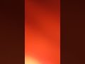 坂本真綾さん