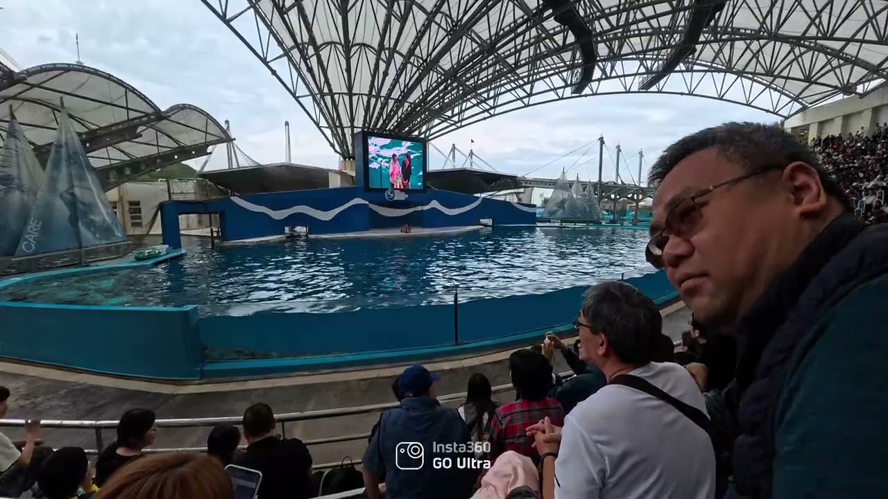 遠雄公園海豚秀表演￼