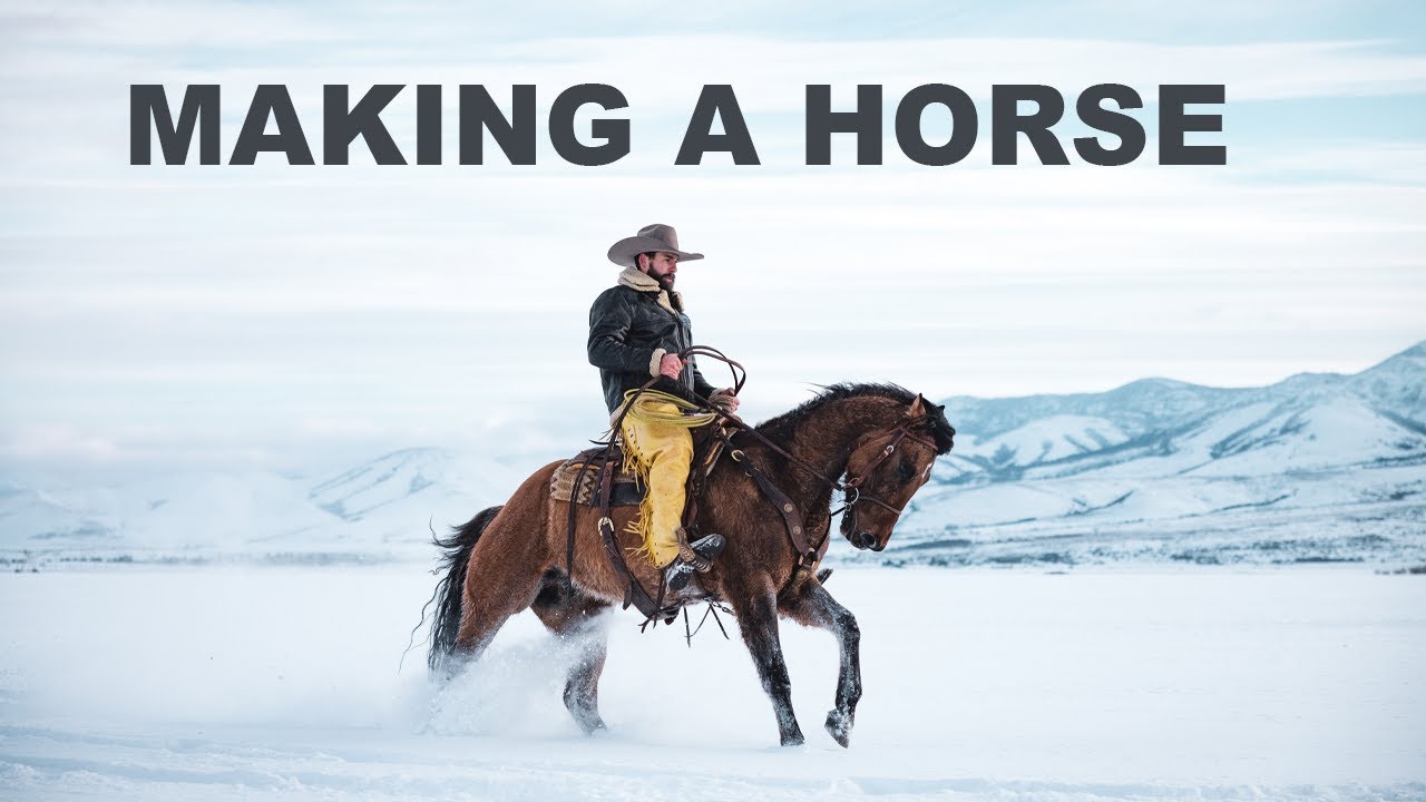 Создание лошади