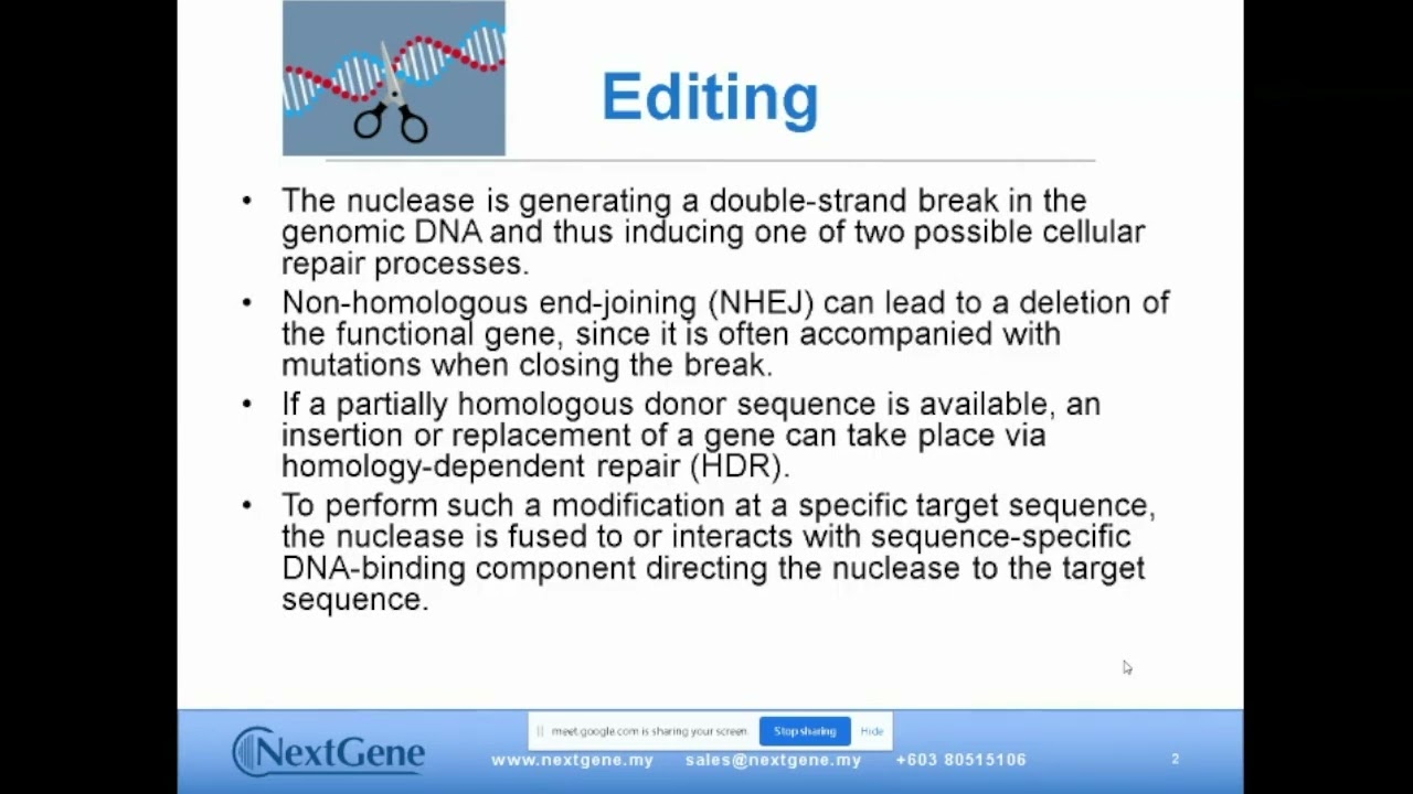 CRISPR Transfection: Efficient Genome Editing Using Nucleofector Technology