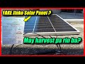 Jinko 100w200w solar panels  sayang ba pera mo jinkotigerneo