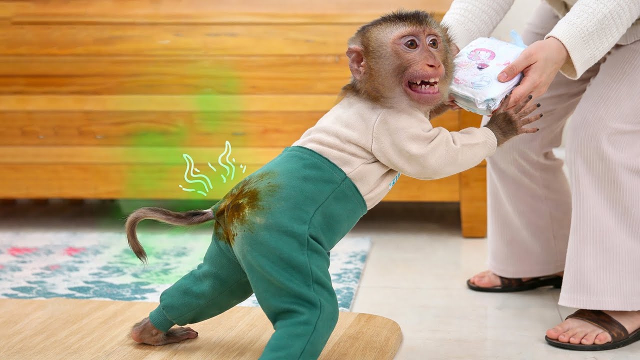 Pupu Has a Little Accident but Refuses to Change His New Outfit