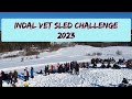 Indal vet sled challenge 2023