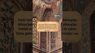 Duygusuz , Ruhsuz Insanlar....