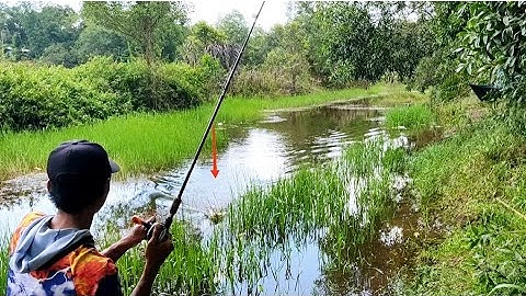 Câu cá lóc_Truy lùng những địa điểm mới và cái kết @Hữunghị tv