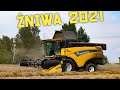 Żniwa 2021 - Pszenica ☆ New Holland CX6.80 ☆ New Holland T5.85