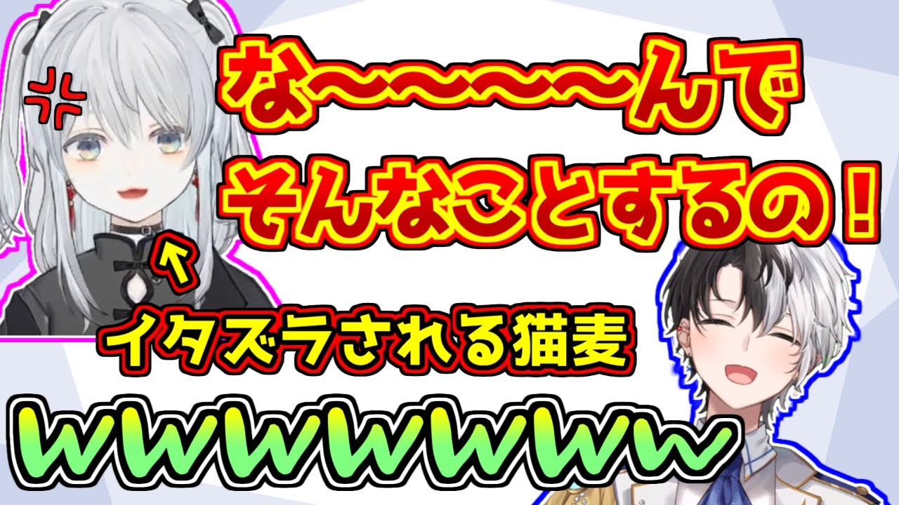 イタズラされて怒る猫麦とろろに笑いが止まらないkamito【スト鯖Rust】