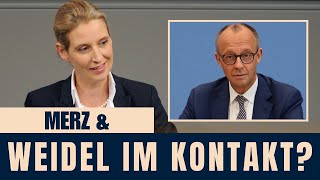 Download Lagu Neue Umfragen sorgen für Aufruhr – Merz nimmt Kontakt zu Weidel auf MP3