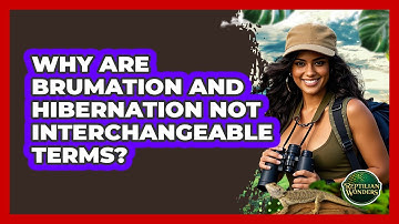 Why Are Brumation And Hibernation Not Interchangeable Terms?