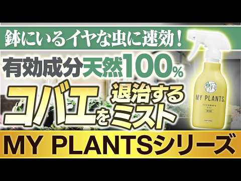Fast-Acting on Pesky Pests in Your Pots! 100% Natural Active Ingredients (MY PLANTS Fungus Gnat K...