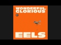 EELS - Wonderful, Glorious [Audio Stream]