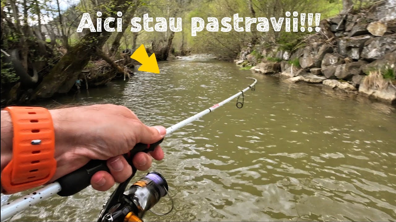 A inceput sezonul! PESCUIT la PASTRAV intr-o zona de vis, cu ape limpezi si pesti activi