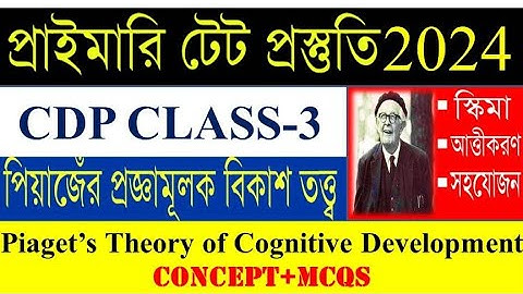 পিয়াজেঁর প্রজ্ঞামূলক বিকাশের তত্ত্ব||Piaget’s Theory of Cognitive Development|CDP Class -3|TET 2024