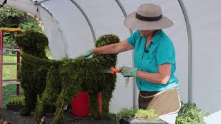 Topiary Design with Marion Mullan | Baltimore MD
