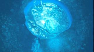 Scuba Bubbles Explode