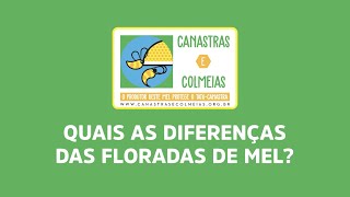 Quais as diferenças das floradas do Mel Serra da Bodoquena?