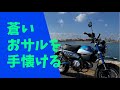 モンキー125に乗ることになりました。#モンキー125 #monkey125