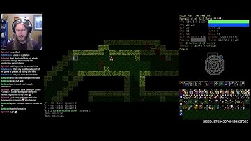 DCSS: Win With Every Species - Formicid Part 4 | Dungeon Crawl Stone Soup 0.28
