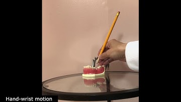 Modified pen grasp. Hand-wrist motion