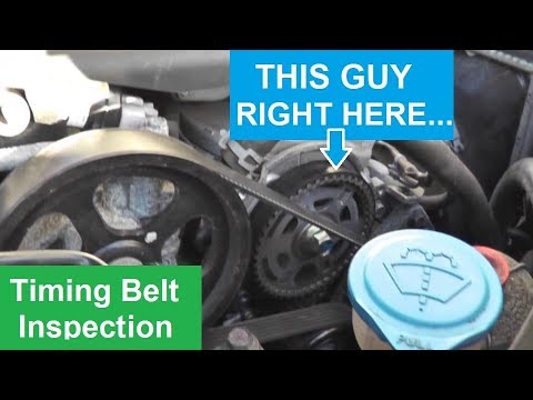 Acura Timing Belt Inspection